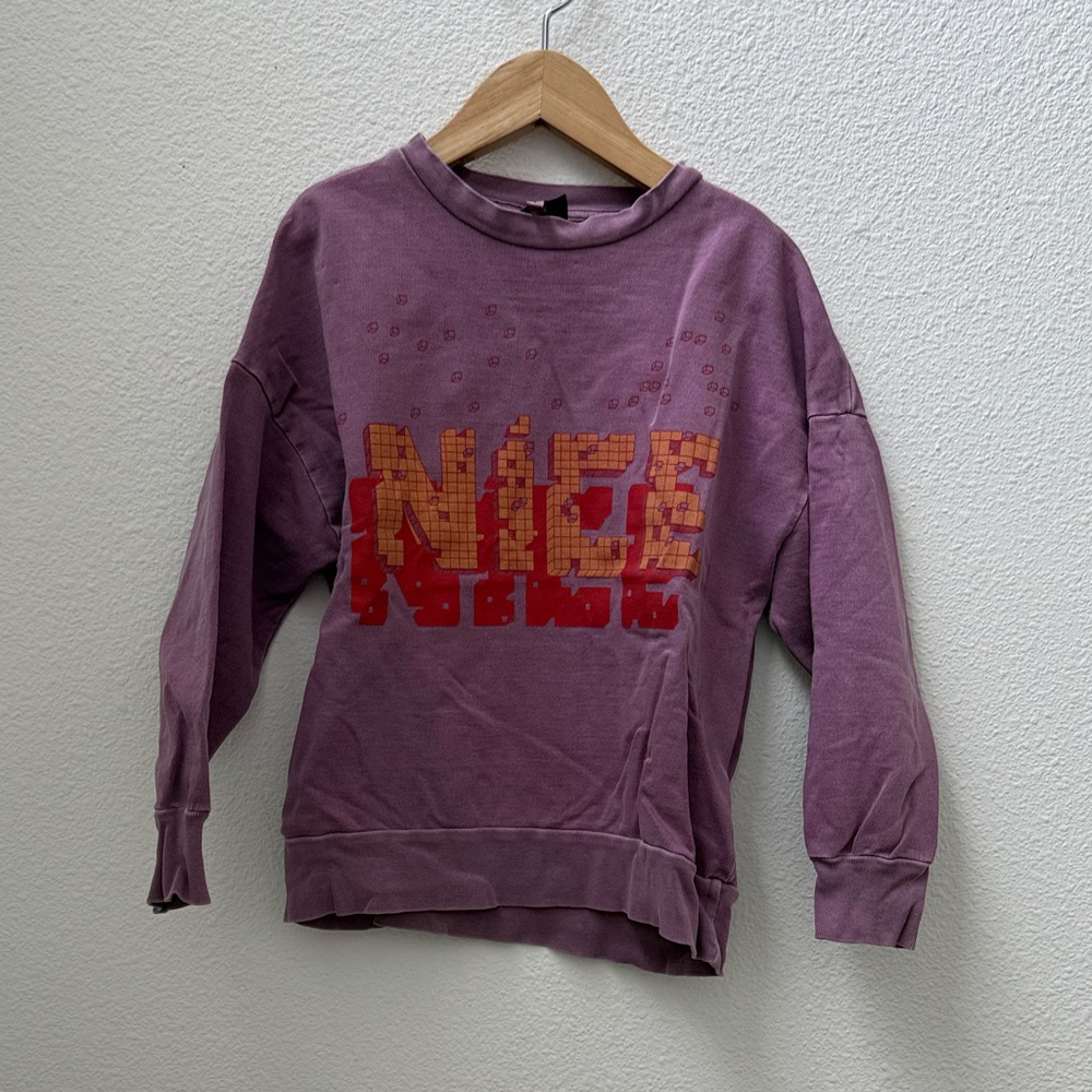 Fresh Dinosaurs NICE  Purple Sweatshirt